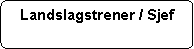 Flowchart: Alternate Process: Landslagstrener / Sjef